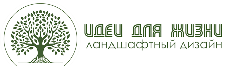 Идеи для жизни